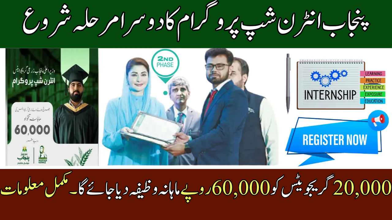 Punjab Internship Program Phase 2