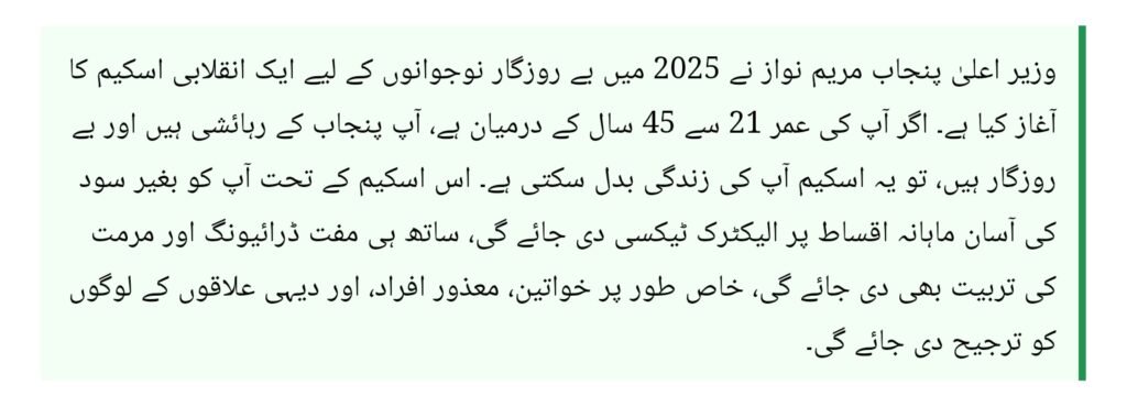 CM Punjab E-Taxi Scheme in 2025